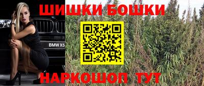 прущие грибы Краснокаменск