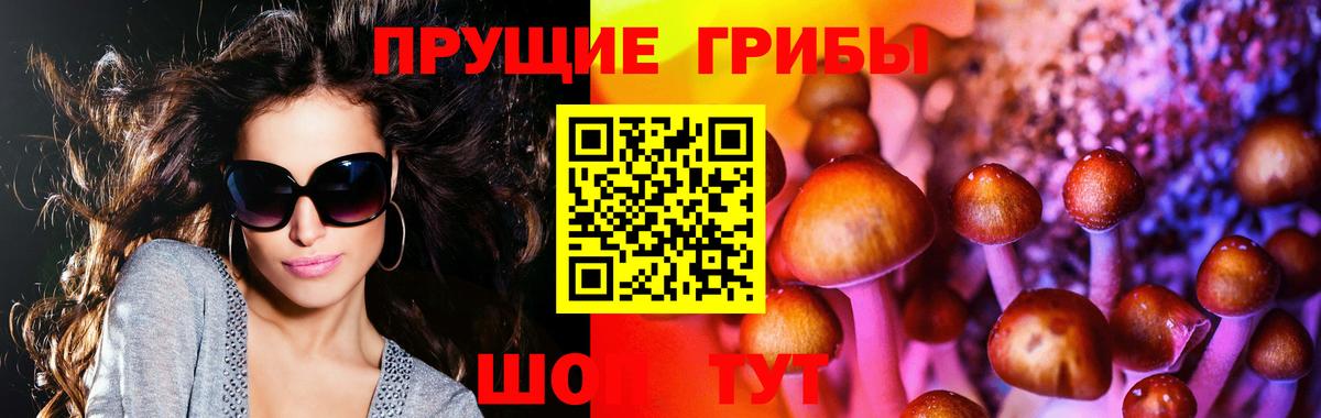 Галлюциногенные грибы Cubensis Шарыпово