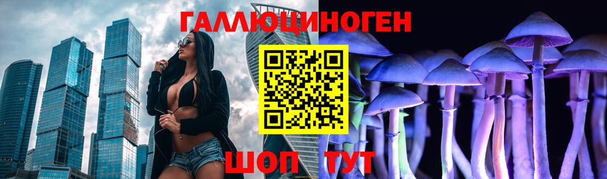 Псилоцибиновые грибы мицелий  купить наркотики цена  Шарыпово  Вход с VPN 